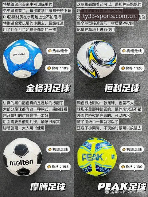 33体育最新版本对比，到底哪个版本更适合你？